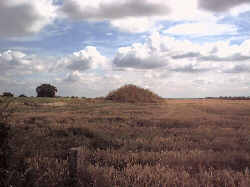 The Remains of Five Mile Farm