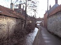 Let Your Indulgence Set Me Free