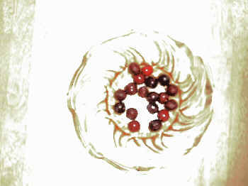 Is a bowl of cherries