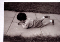 Paradise is various...