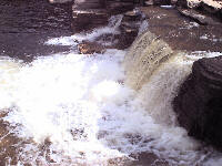 Thirty years later, staring into the cold heart of the Swale, slightly upstream from the School