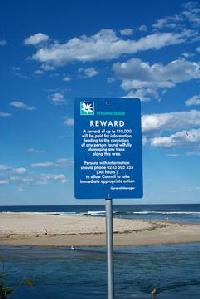 Just After I Fell Over