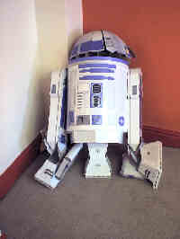 Redundant Robot Rots