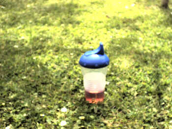 The kingdom of a child