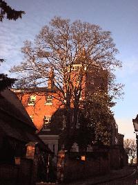 The Pontiff'S Tower, Lincoln