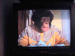 Watching tv with the sound turned off no#10