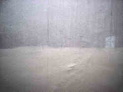 What Dreams May Come