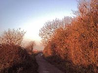 It's Winter Back In Blighty